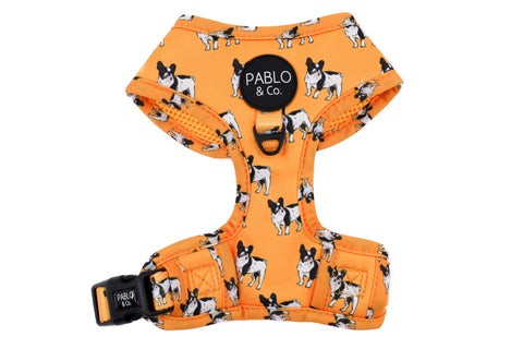 Pablo & Co Adjustable Harness French Bulldog