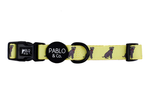 Pablo & Co Dog Collar Staffy