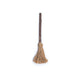 Silvervine Witches Broom