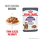 Royal Canin Cat Appetite Control Gravy Pouch 85g