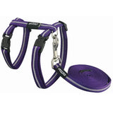 Rogz Alleycat Harness & Lead Set