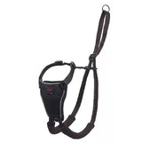 Halti No Pull Harness