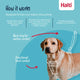 Halti No Pull Harness
