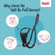Halti No Pull Harness