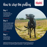 Halti No Pull Harness
