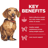 Hills Science Diet Dog Adult Perfect Weight Small & Mini 5.76kg