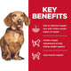 Hills Science Diet Dog Adult Perfect Weight Small & Mini 5.76kg