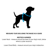 DOOG Neotech Harness