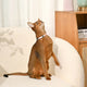 HugSmart Pet - Cat Collar