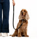EzyDog Oxford Leather Lead