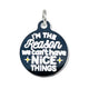 Bad Tags - I'm The Reason We Can't Have Nice Things