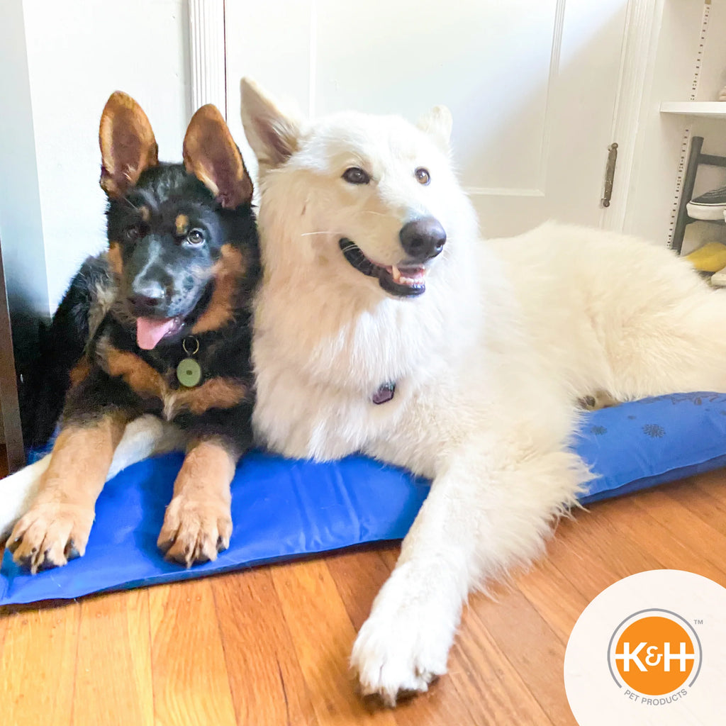 K & H Coolin' Pet Pad