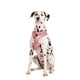 Pablo & Co Adjustable Harness Pink Posies