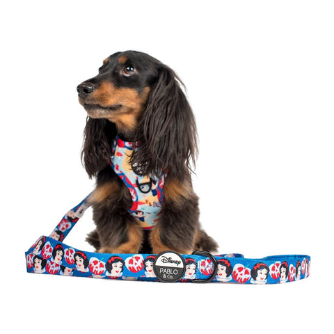 Pablo & Co Dog Leash Snow White