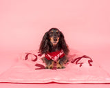 Pablo & Co Dog Blanket Velvet Blush Bows