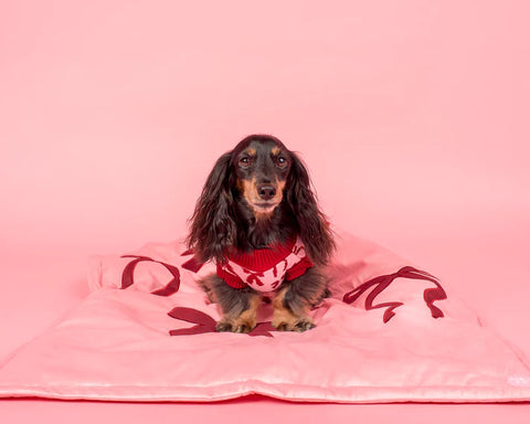 Pablo & Co Dog Blanket Velvet Blush Bows