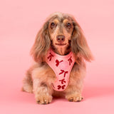 Pablo & Co Adjustable Harness Velvet Blush Bows