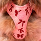 Pablo & Co Adjustable Harness Velvet Blush Bows
