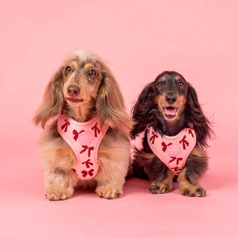 Pablo & Co Adjustable Harness Velvet Blush Bows