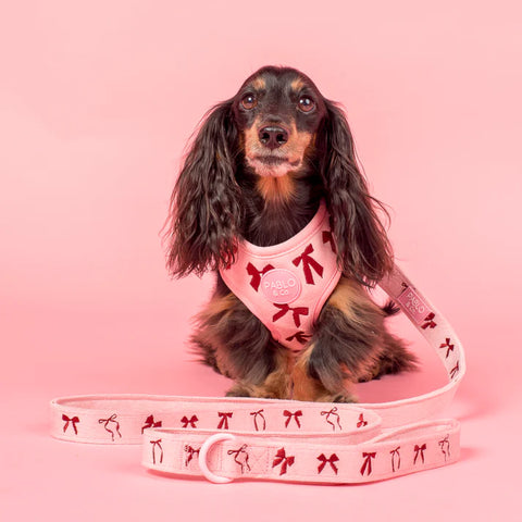 Pablo & Co Dog Leash Velvet Blush Bows