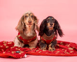 Pablo & Co Dog Blanket Henry Bear