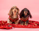Pablo & Co Dog Blanket Henry Bear
