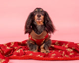 Pablo & Co Dog Blanket Henry Bear