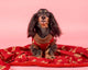 Pablo & Co Dog Blanket Henry Bear