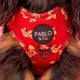Pablo & Co Adjustable Harness Henry Bear