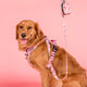 Pablo & Co Dog Leash Primrose