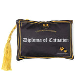 Catchelors Degree Scratcher