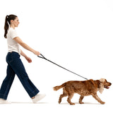 EzyDog Oxford Leather Lead