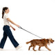 EzyDog Oxford Leather Lead