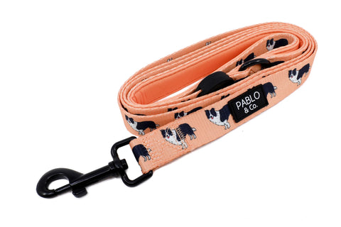 Pablo & Co Dog Leash Border Collie