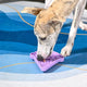 HugSmart Pet - Ice Cream Lick Mat