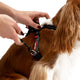 EzyDog Crosscheck Harness