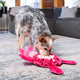 Outward Hound Snuffle Palz Pig