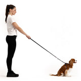 EzyDog Crosscheck Harness