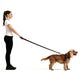 EzyDog Quick Fit Harness