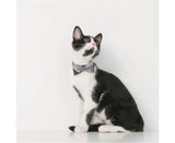 PIDAN Bow Tie Collar - Cat - A1
