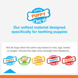 Nylabone Puppy Triple Stages Pack Wolf Chicken/Bacon/Beef