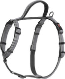 Halti Walking Harness