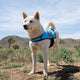 ZippyPaws Cooling Vest