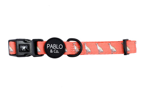 Pablo & Co Dog Collar Italian Greyhound