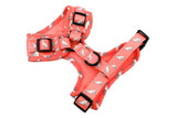 Pablo & Co Adjustable Harness Italian Greyhound