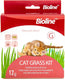 Bioline Cat Grass Kit