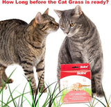 Bioline Cat Grass Kit