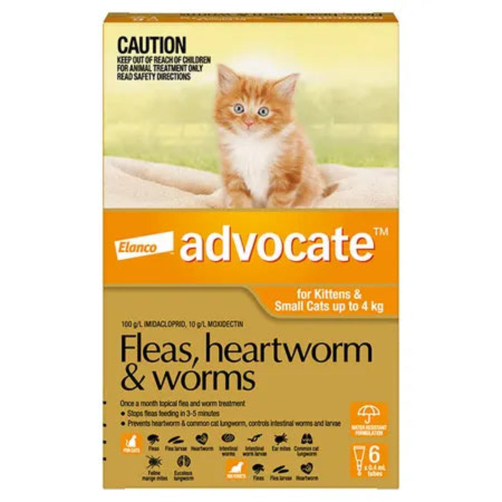 Advocate Cat 0-4kg Orange monthly spot-on flea heartworm and worm treatment for cats – 3 pack and 6 pack available for kittens and cats from 9 weeks