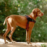 Rogz AirTech SportHarness