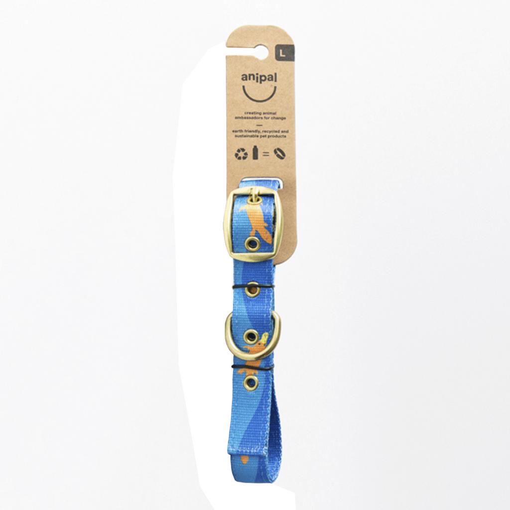 Anipal Piper The Platypus blue dog collar made from recycled plastic bottles with brass hardware